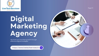 Digital Marketing Agency