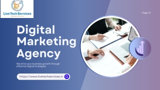 Digital Marketing Agency