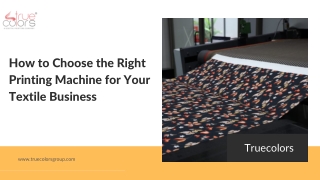 True Colors Group: Innovating Digital Textile Printing & Sublimation Paper