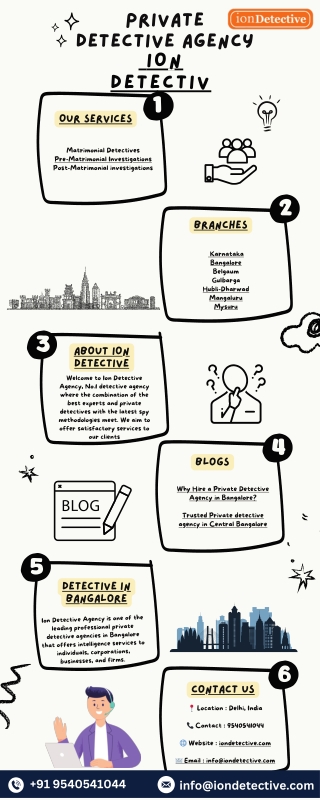 Private Detective Agency  ION DETECTIVE