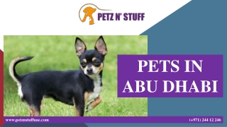PETS IN ABU DHABI (1) (1)