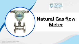 Natural Gas Flowmeter for Industrial and Commercial Use