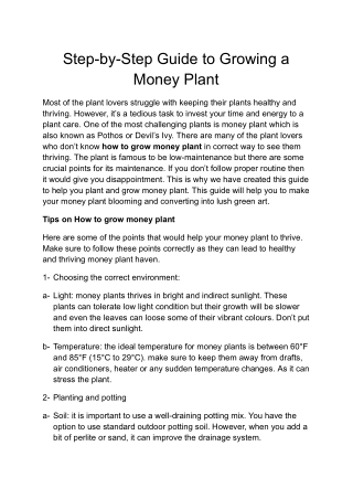 Best Guide to Growing a Money Plant  Easy Care Tips & Tricks