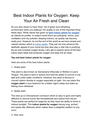 Best Indoor Plants for Oxygen – Boost Air Quality Naturally