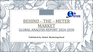 Behind – the – Meter  Market