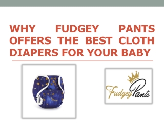 Why Fudgey Pants Offers the Best Cloth Diapers for Your Baby