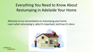 Everything You Need to Know About Restumping in Adelaide Your Home