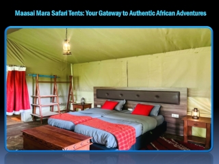 Safari Tents Maasai Mara Discover Authentic Africa