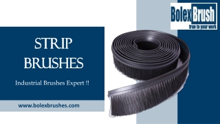 Strip Brushes
