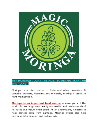 TRY MORINGA TODAY THE MOST POWERFUL PLANT ON THE PLANET: