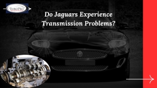 Do Jaguars Experience Transmission Problems