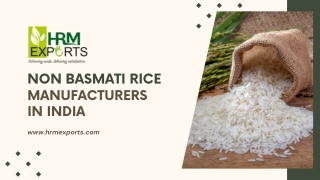 Best Non Basmati Rice Manufacturers in India