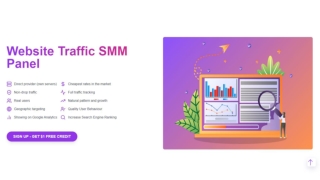 Website Traffic SMM Panel