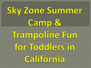 Sky Zone Summer Camp & Trampoline Fun for Toddlers in California