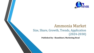 Ammonia Market Developments and Outlook 2030