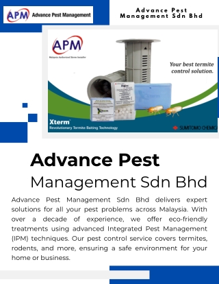 Reliable Termite Control Services to Keep Your Home Safe and Secure