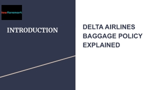 DELTA AIRLINES BAGGAGE POLICY EXPLAINED