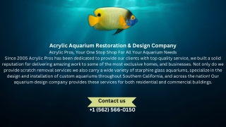 Acrylic Aquarium Restoration & Design Company Acrylic Pros