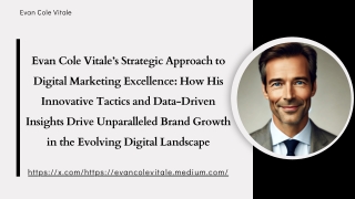 Evan Cole Vitale’s Strategic Approach to Digital Marketing Excellence How His Innovative Tactics and Data-Driven Insight