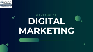Best Digital Marketing Course in Jalandhar
