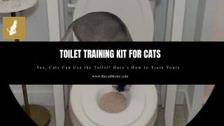 Toilet Training Kit For Cats