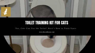 Toilet Training Kit For Cats