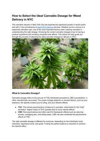 How to Select the Ideal Cannabis Dosage for Weed Delivery in NYC