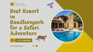 best resort in bandhavgarh for a safari adventure