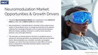 Neuromodulation Market