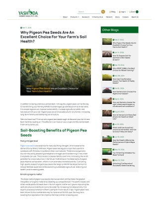 Why Pigeon Pea Seeds Are An Excellent Choice For Your Farm’s Soil Health
