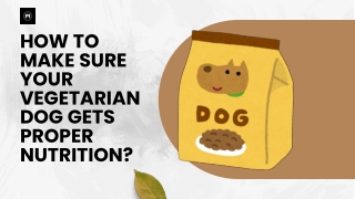 How to Make Sure Your Vegetarian Dog Gets Proper Nutrition