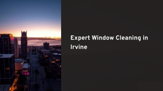 Expert Window Cleaning in Irvine