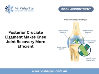Posterior Cruciate Ligament Makes Knee Joint Recovery More Efficient
