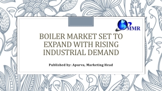 Boiler Market Growth: Key Drivers and Emerging Opportunities