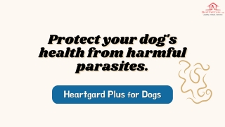 Heartgard Plus for Dogs - Trusted Monthly Heartworm Protection