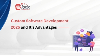 Custom Software Development 2025 and It’s Advantages