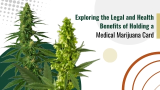 Ensure Legal Access to Cannabis Treatment