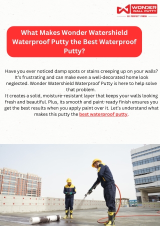 What Makes Wonder Watershield Waterproof Putty the Best Waterproof Putty?