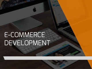 Ecommerce development
