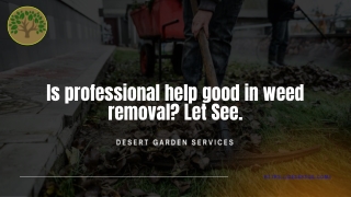 Is professional help good in weed removal Let See.