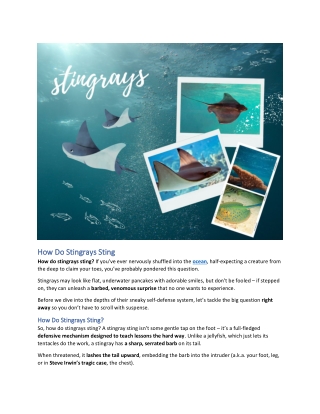 How Do Stingrays Sting