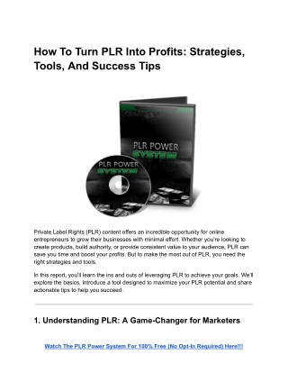 How To Turn PLR Into Profits: Strategies, Tools, And Success Tips