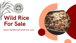 Best Wild Rice for Sale – Shop Fresh & Organic
