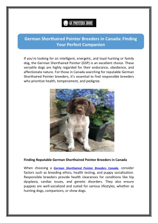 German Shorthaired Pointer Price Check Best Deals Now