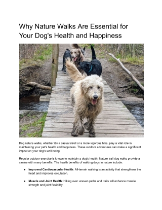 The Importance of Nature Walks for Your Dog's Well-Being