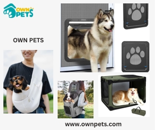Pet Screen Door: A Convenient, Durable Solution for Pet Freedom