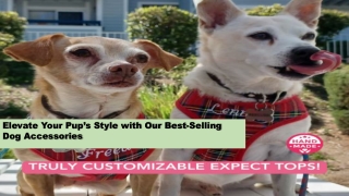 Elevate Your Pup’s Style with Our Best-Selling Dog Accessories