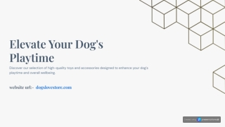 Explore Our Premium Dog Toys, Tools, and Accessories