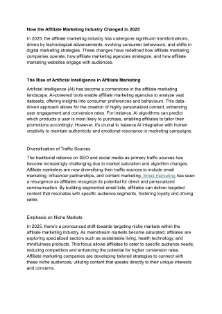 How the Affiliate Marketing Industry Changed in 2025 blog