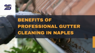Benefits of Professional Gutter Cleaning in Naples